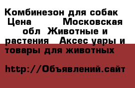 Комбинезон для собак › Цена ­ 300 - Московская обл. Животные и растения » Аксесcуары и товары для животных   